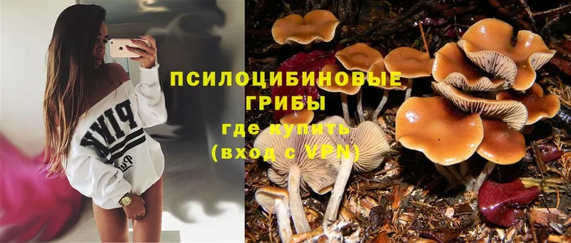 Псилоцибиновые грибы MAGIC MUSHROOMS  Ладушкин 